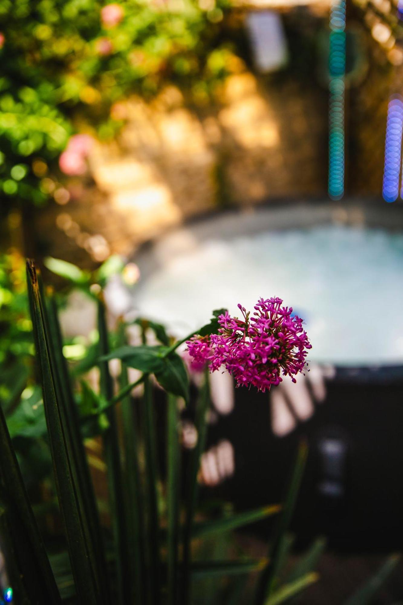 Fraichement Renovee - Jacuzzi Au Coeur De * Caen